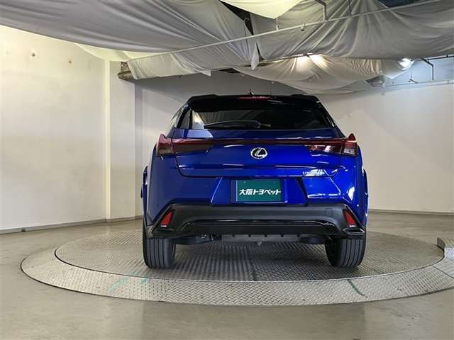 Lexus UX 7