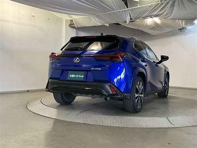 Lexus UX 8