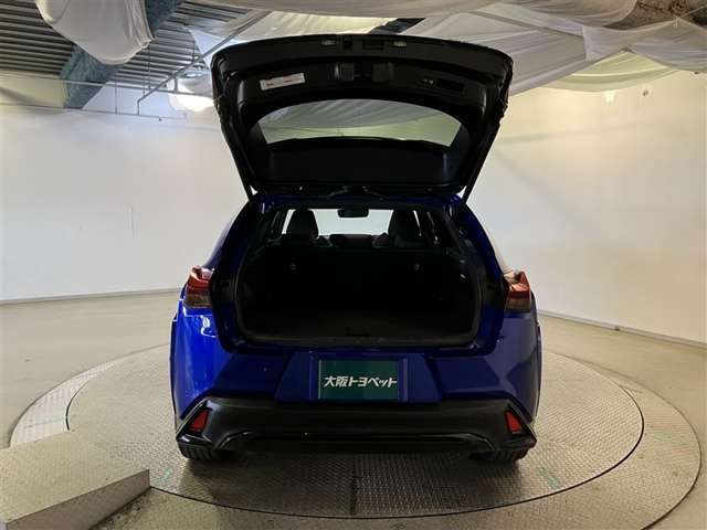 Lexus UX 9