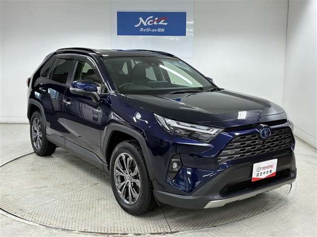 Toyota RAV4 10