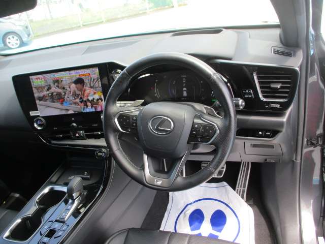 Lexus NX 6