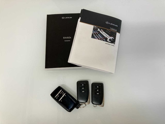 Lexus RX 9