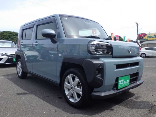 Daihatsu Taft 6