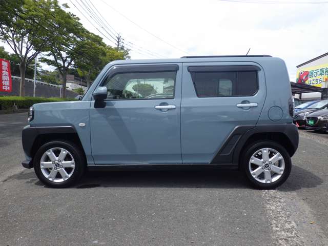 Daihatsu Taft 10