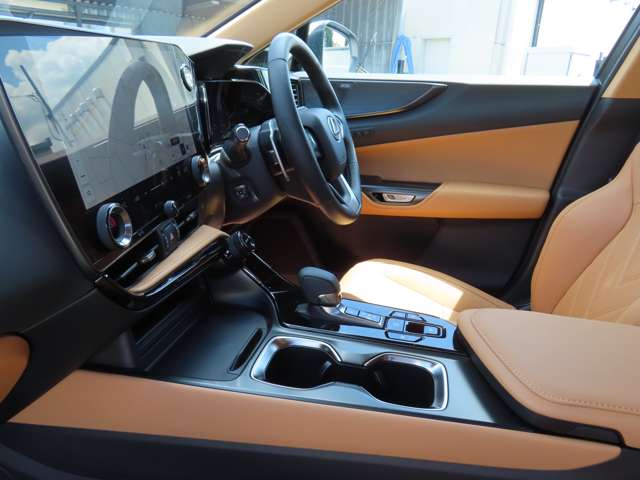 Lexus NX 12