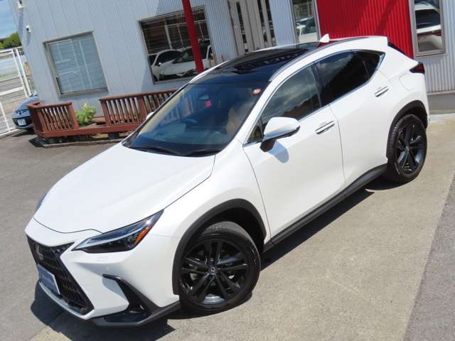 Lexus NX 3