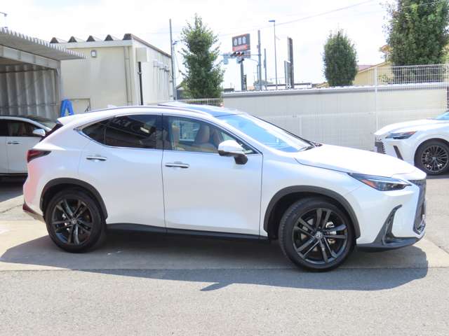 Lexus NX 4