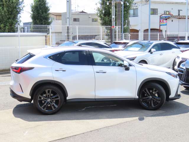 Lexus NX 6