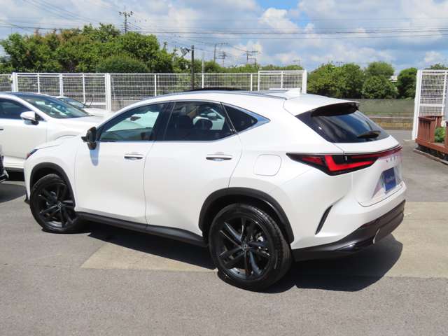 Lexus NX 8