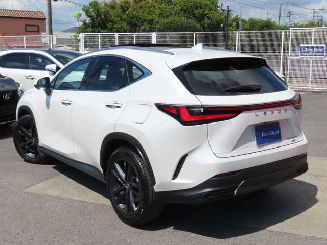 Lexus NX 9
