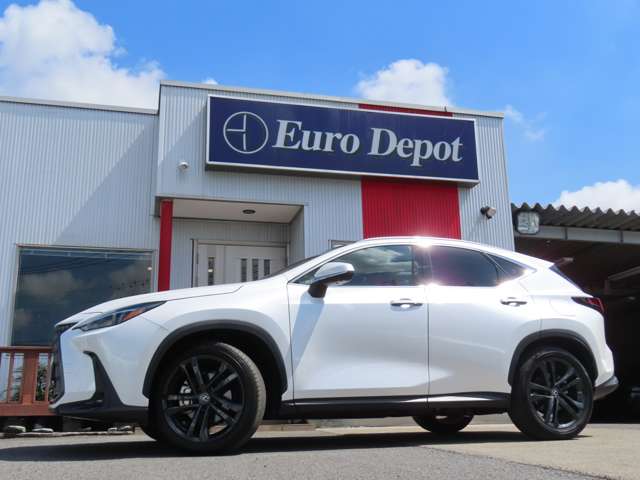 Lexus NX 10
