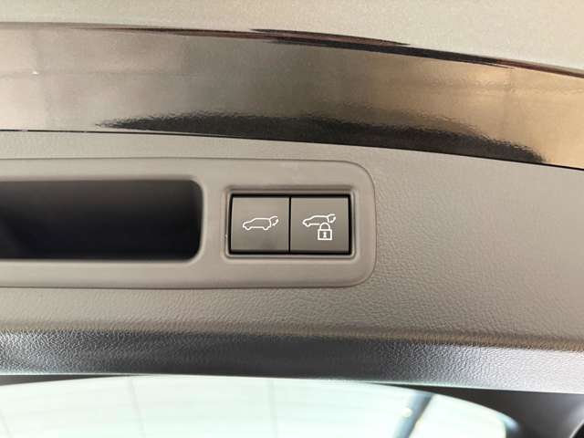 Lexus RX 12