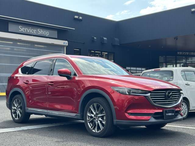 Mazda CX-8 11