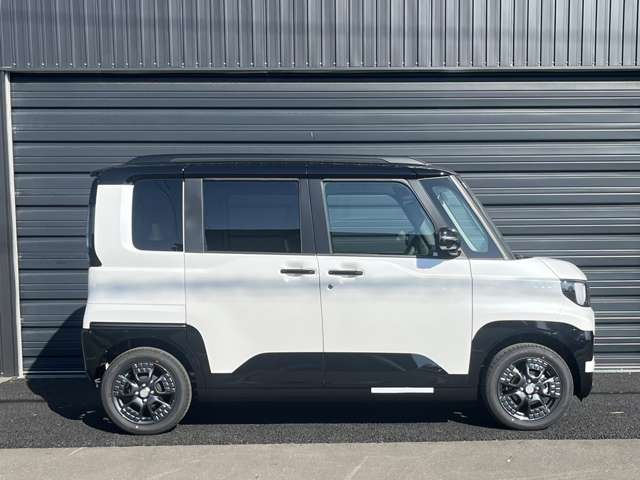 Mitsubishi Delica Mini 2