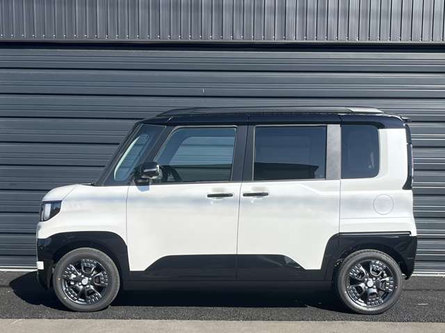 Mitsubishi Delica Mini 3