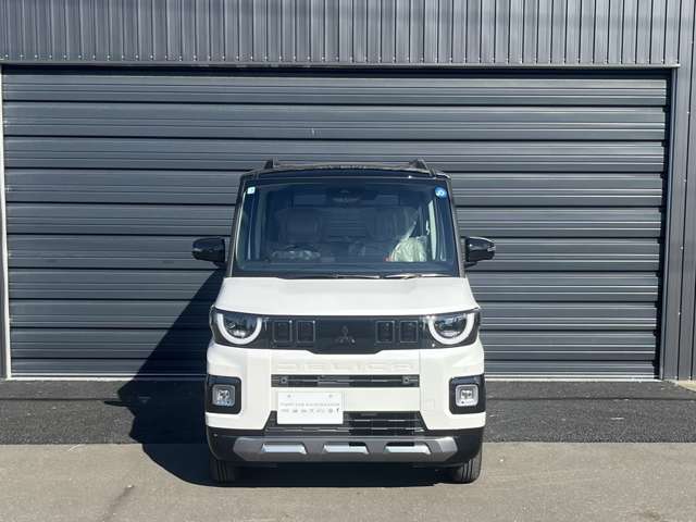 Mitsubishi Delica Mini 4