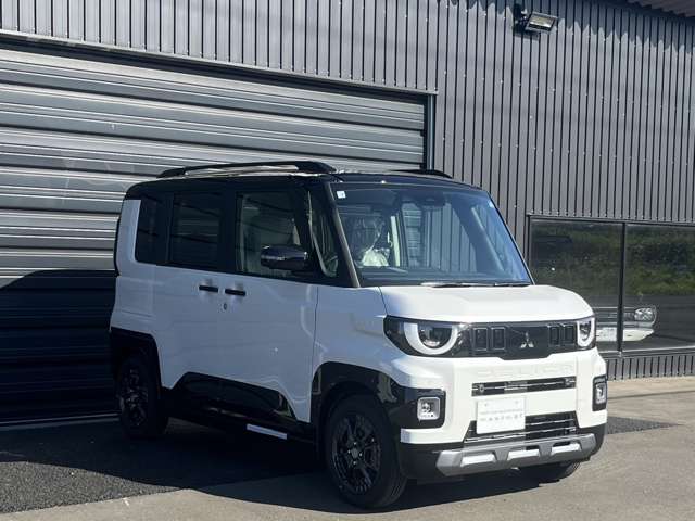 Mitsubishi Delica Mini 5