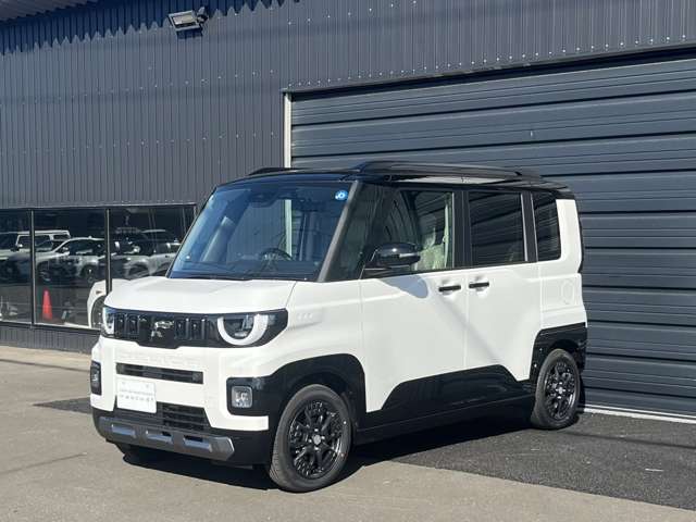Mitsubishi Delica Mini 6