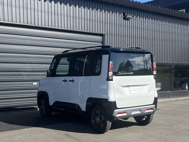 Mitsubishi Delica Mini 8