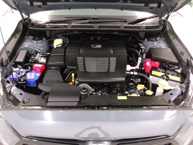Subaru Crosstrek 6