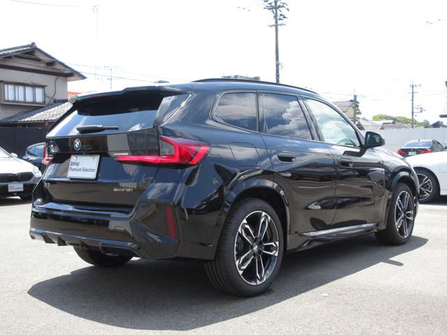 BMW X1 10