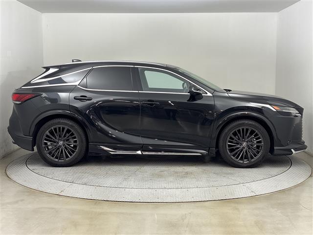 Lexus RX 11