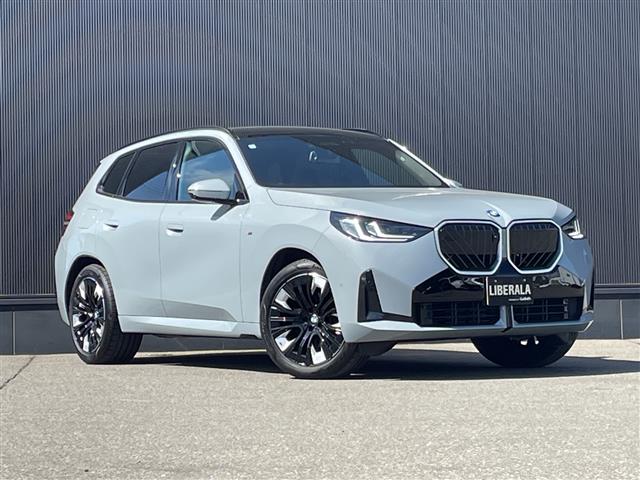 BMW X3 12