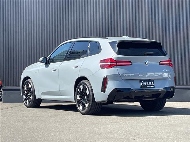 BMW X3 7