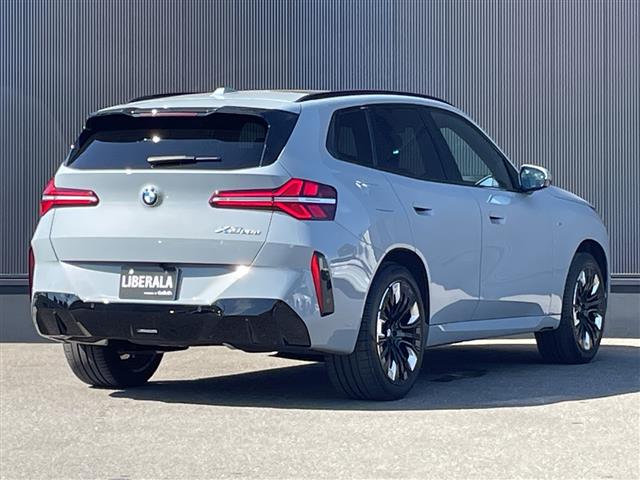 BMW X3 10