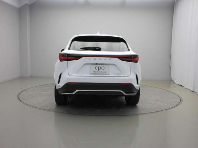 Lexus NX 6