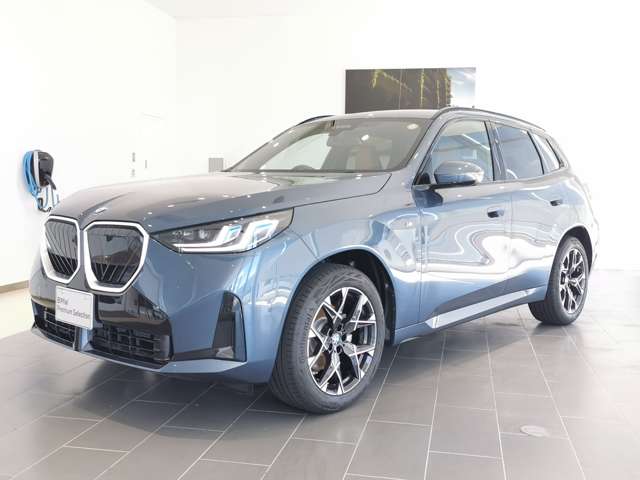BMW X3 6