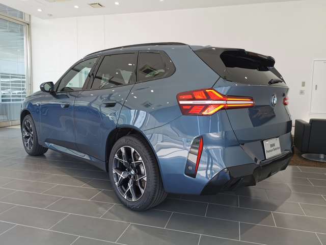BMW X3 8