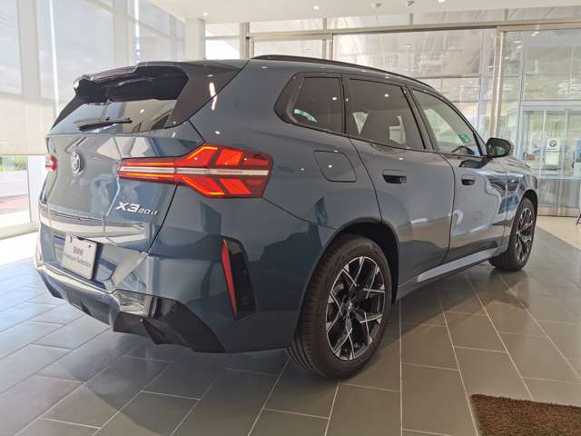 BMW X3 10