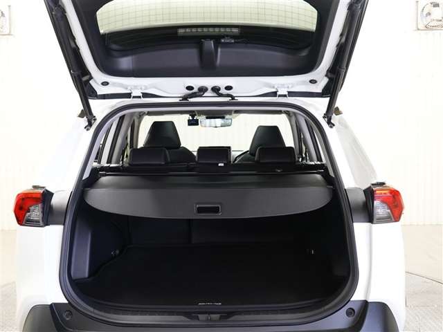 Toyota RAV4 11