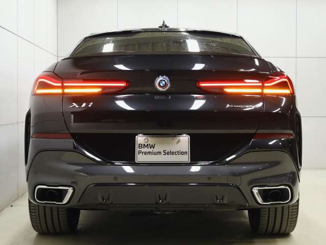 BMW X6 10