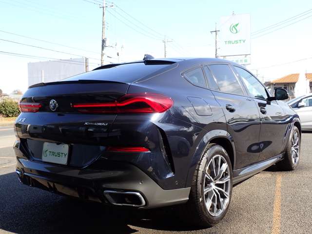 BMW X6 12
