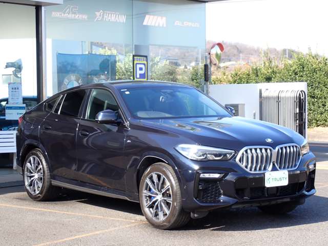 BMW X6 10