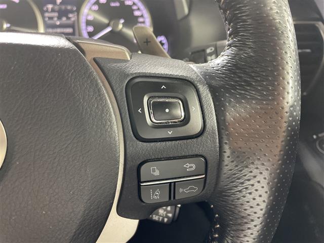Lexus NX 11