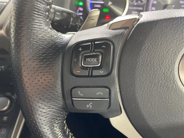 Lexus NX 10