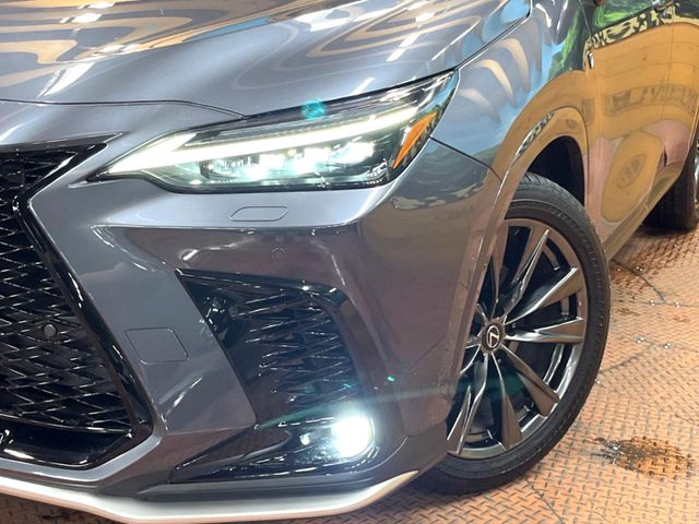 Lexus NX 12