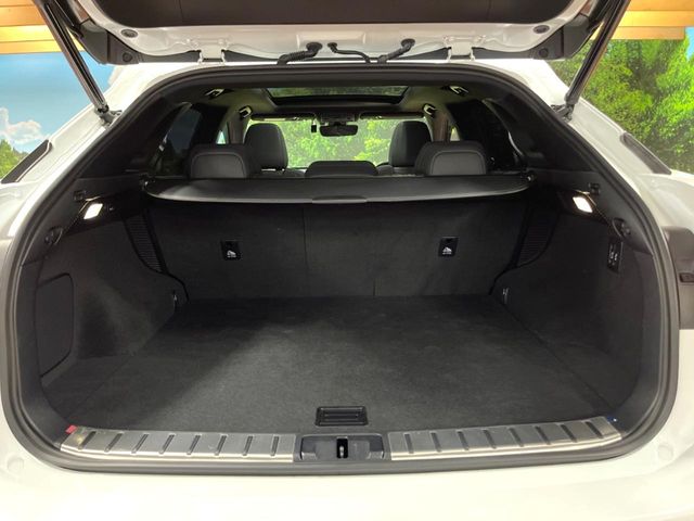 Lexus RX 11