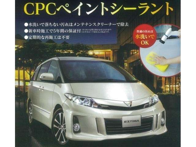 Daihatsu Taft 11