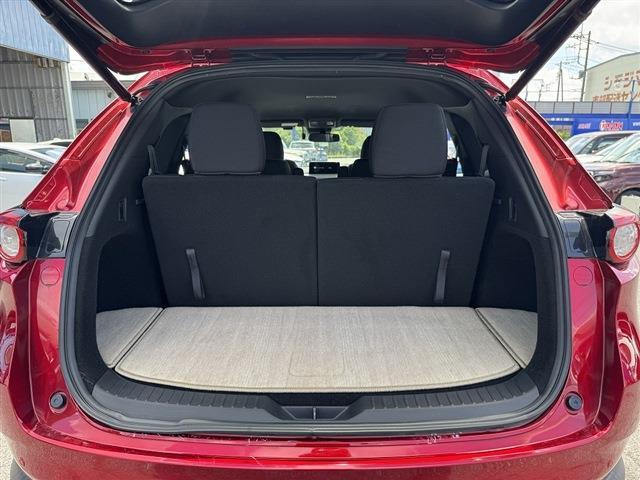 Mazda CX-8 11