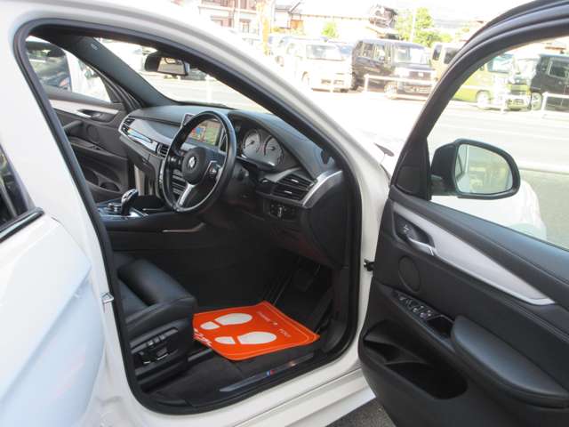 BMW X6 10