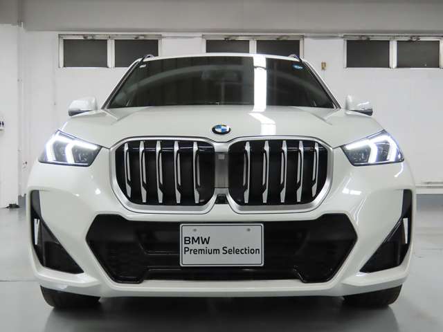 BMW X1 9