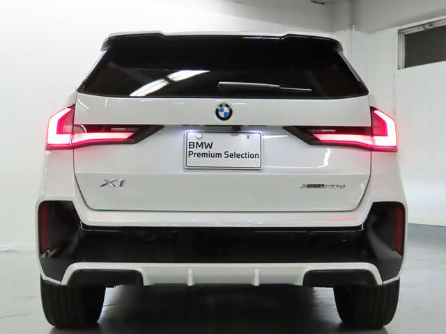 BMW X1 10