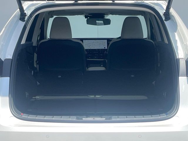 Lexus NX 12