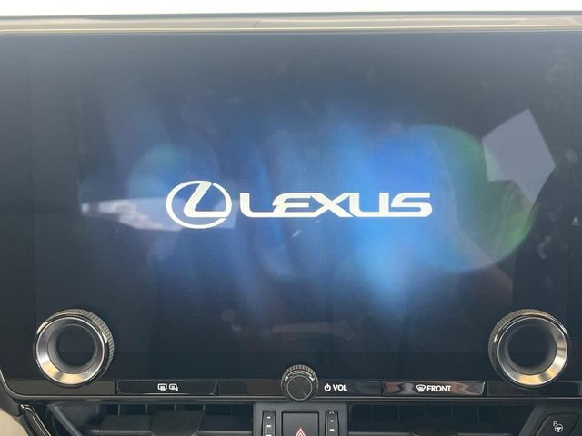 Lexus NX 4