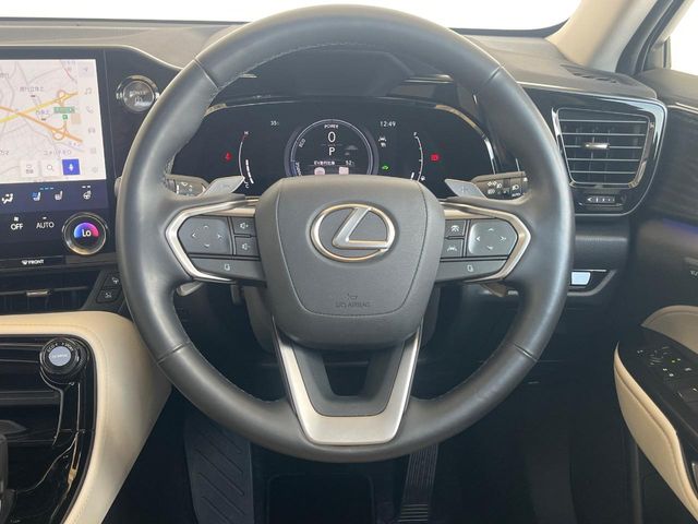 Lexus NX 9