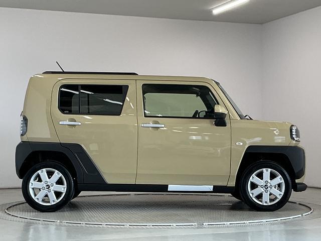 Daihatsu Taft 10